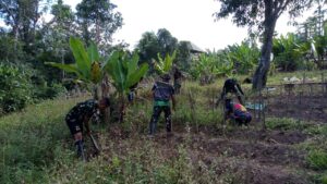 2. Manfaatkan Lahan Tidur