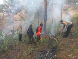 IMG-20231003-WA0045