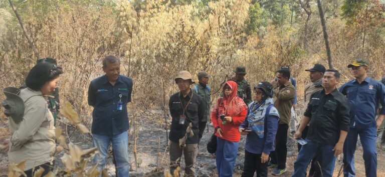 Perhutani Terima Kunjungan Lapangan Kementerian LHK di Lokasi Pasca Karhutla Gunung Lawu Ngawi