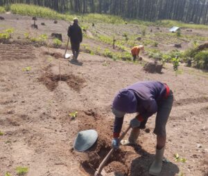 IMG-20231101-WA0024