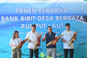 IMG-20250526-WA0142